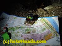 /home//u458753944/public_html/sourcegallery//Roxborough Toad Detour/2013-2019/2017/P4120681.JPG